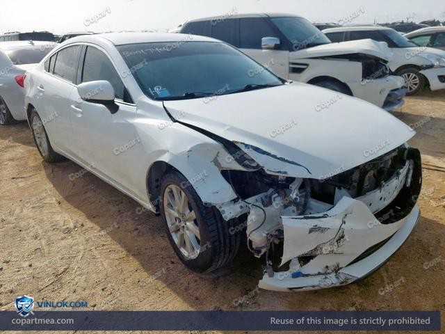 Auction photo