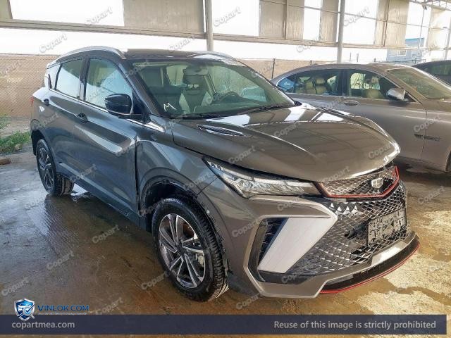 2026 GEEL COOLRAY — Lot 50018216 auction photo