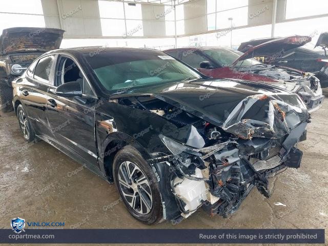 Auction photo