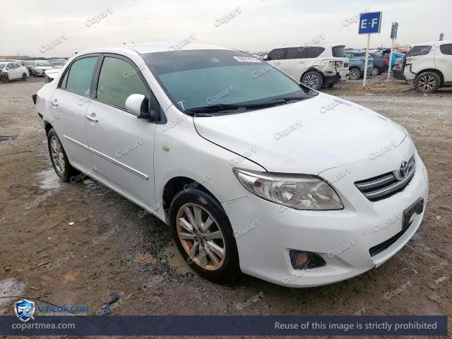 Auction photo