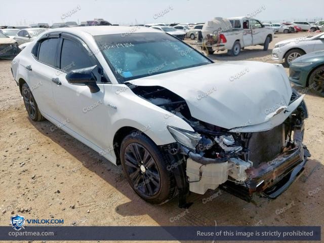 Auction photo
