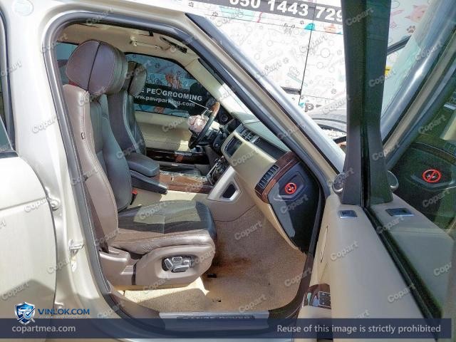Auction photo