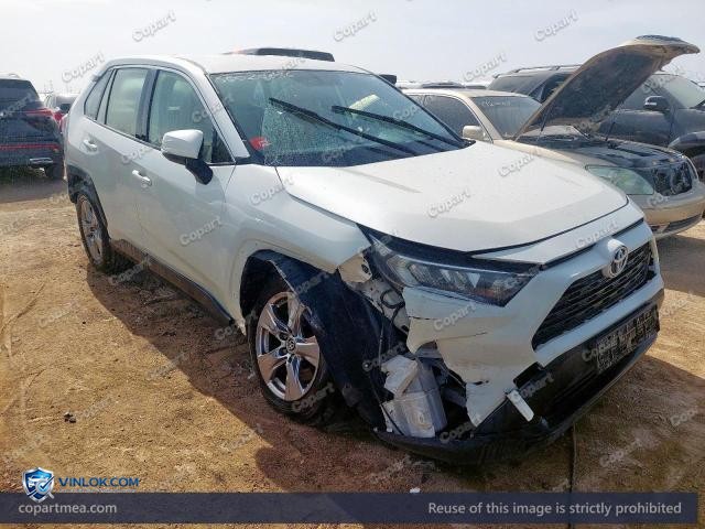 Auction photo