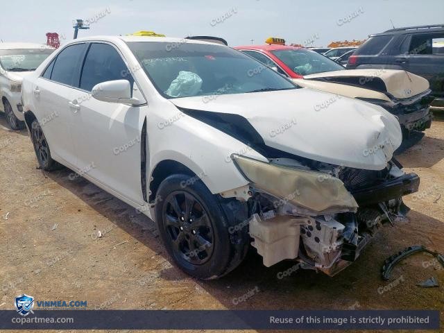 Auction photo