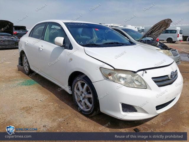 Auction photo