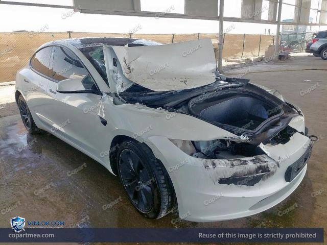 Auction photo