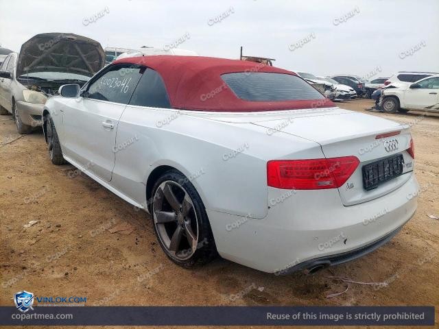 Auction photo