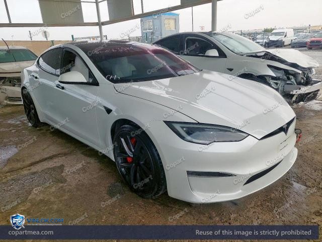 2023 TESLA MODEL S — Lot 50023586 auction photo
