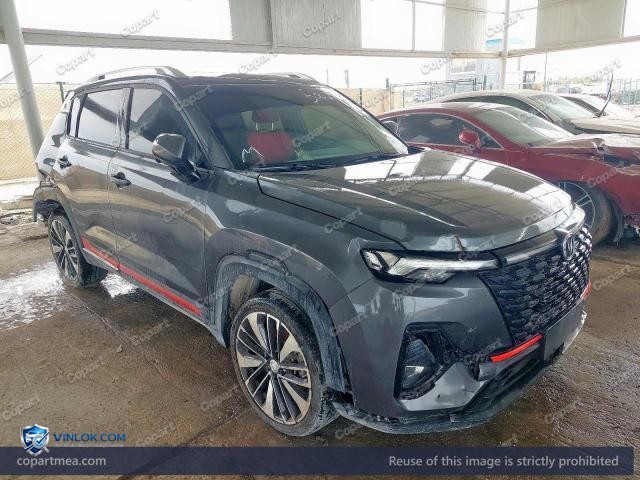 2023 CHAN CS35 PLUS — Lot 50024136 auction photo