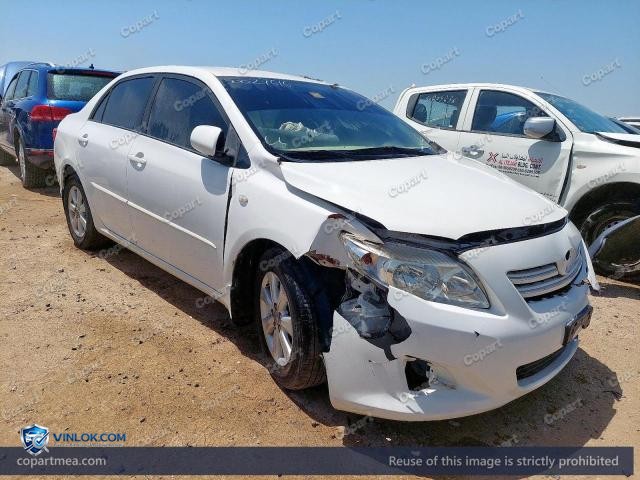 Auction photo