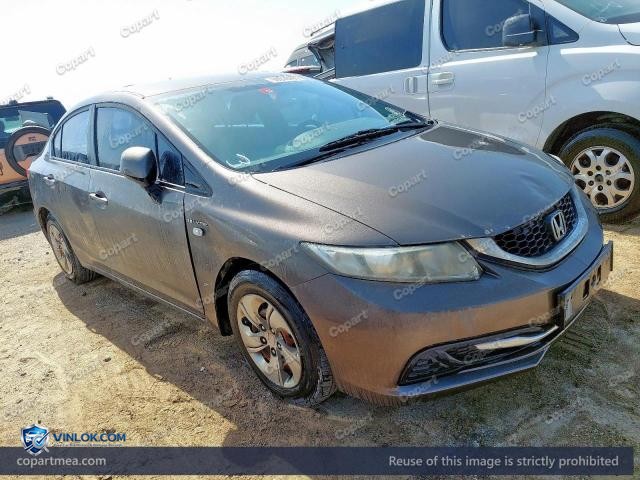Auction photo