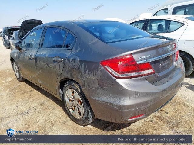 Auction photo