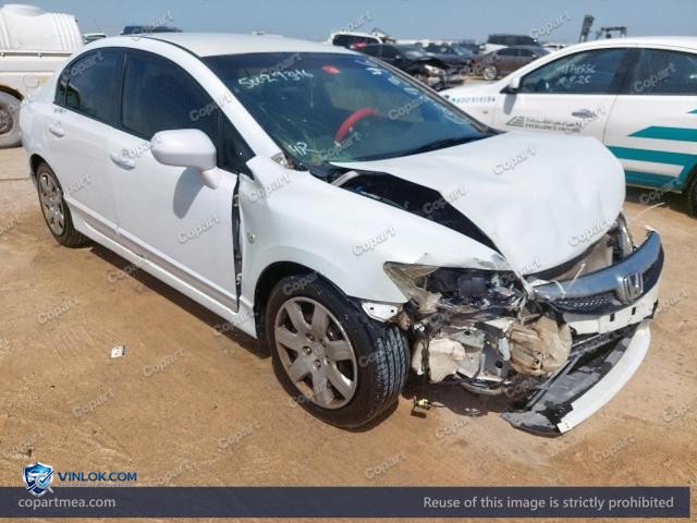 Auction photo