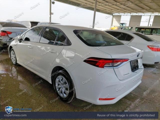 Auction photo