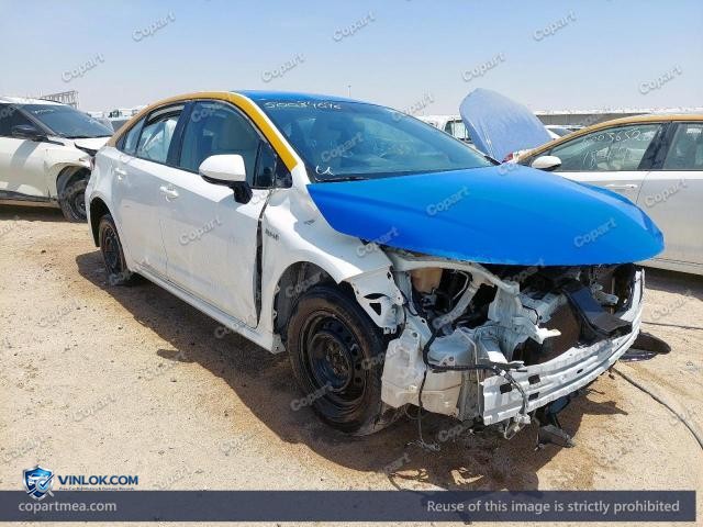Auction photo