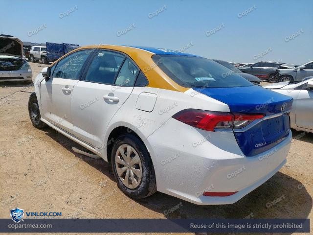 Auction photo