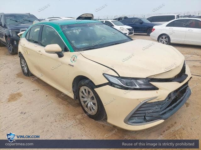 Auction photo
