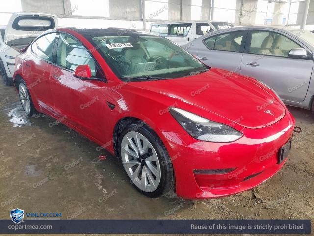 Auction photo