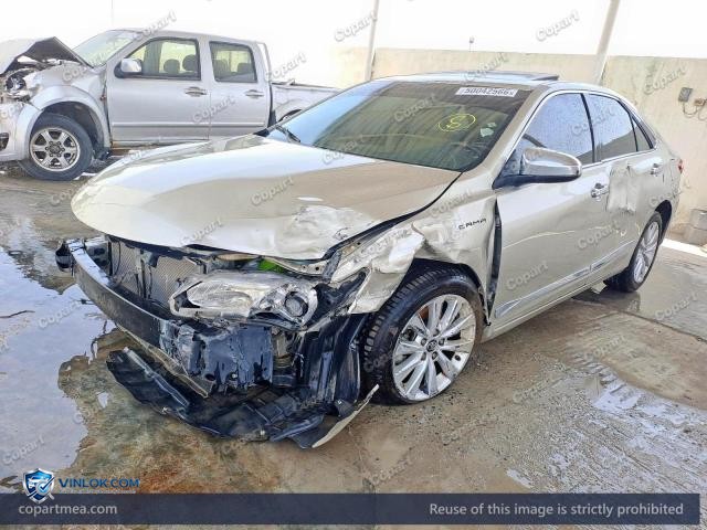 Auction photo