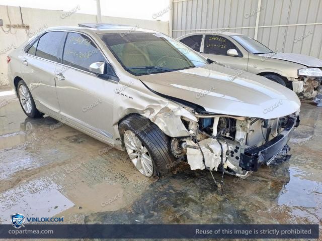 Auction photo