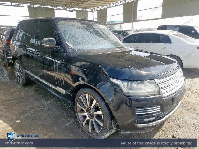 Auction photo