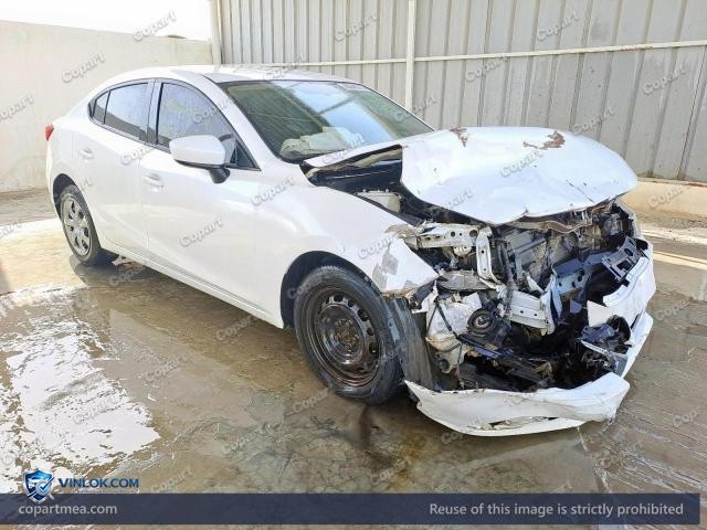 Auction photo