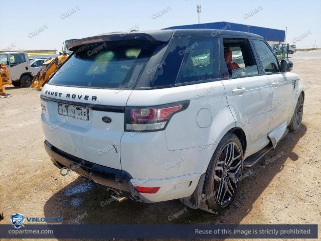 Auction photo