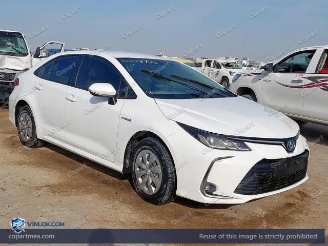 Auction photo