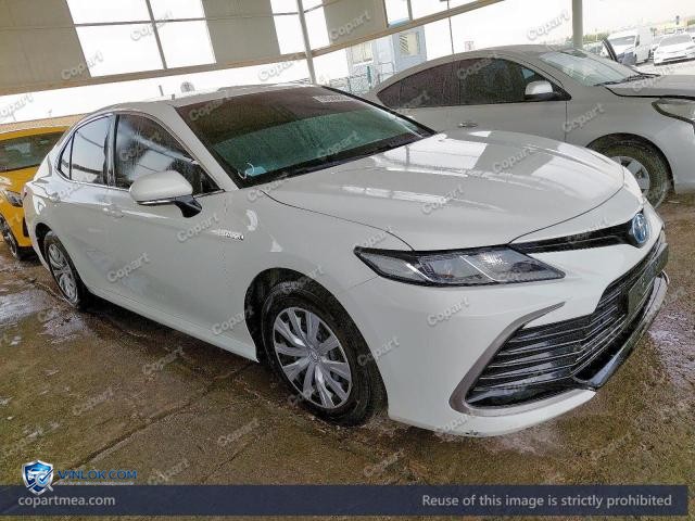 Auction photo