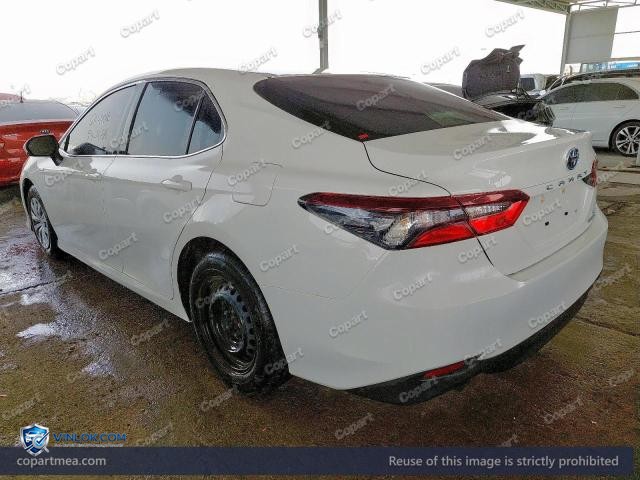 Auction photo