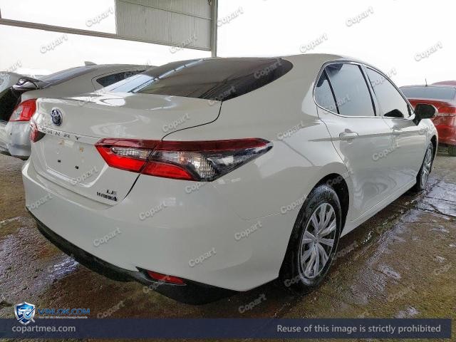 Auction photo