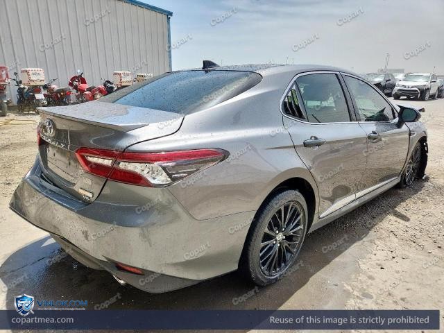 Auction photo
