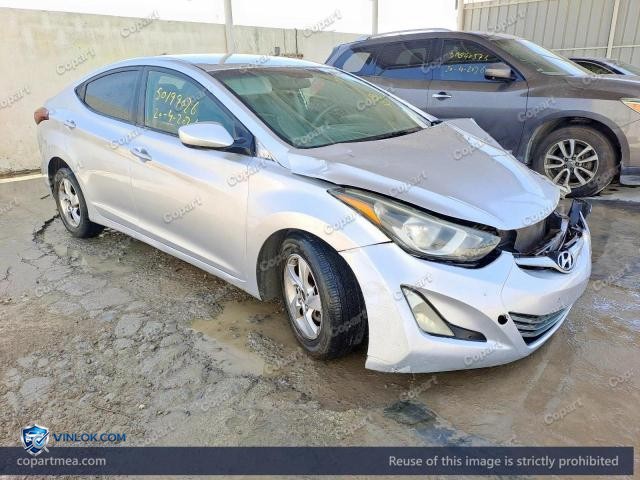 Auction photo