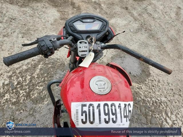 Auction photo