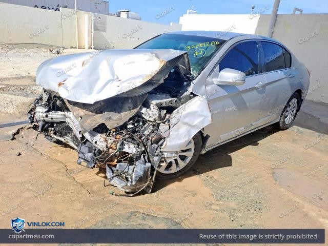 Auction photo