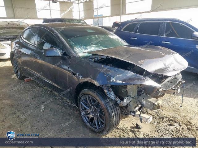 Auction photo