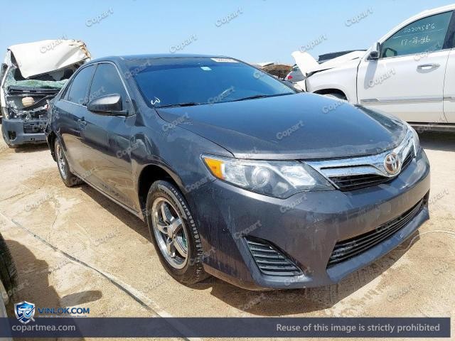 Auction photo