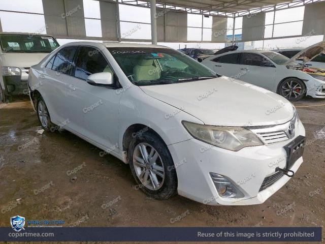 Auction photo