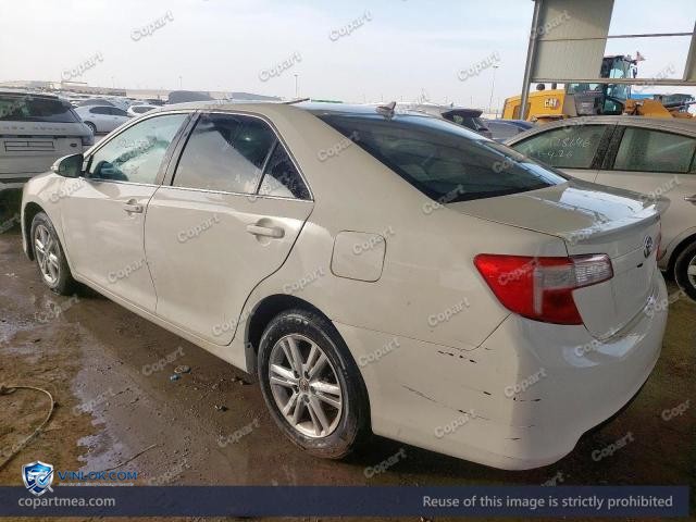 Auction photo