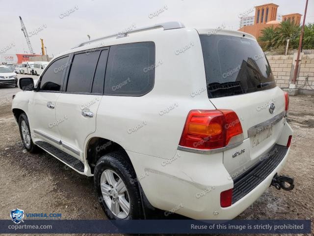 Auction photo