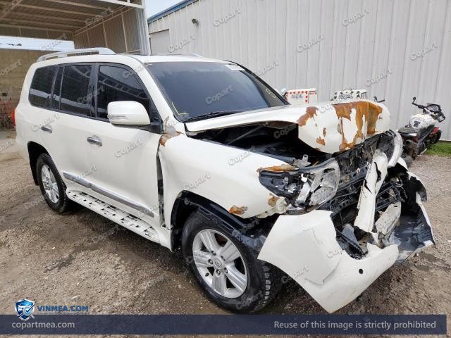 Auction photo