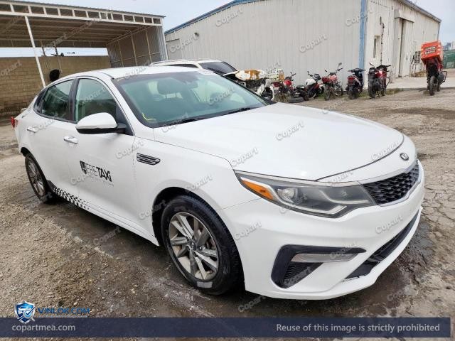 Auction photo