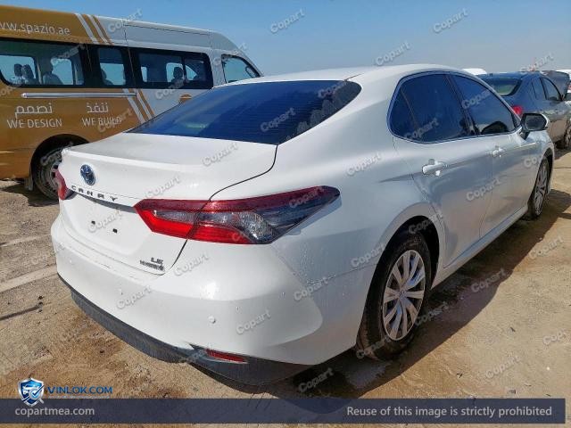 Auction photo