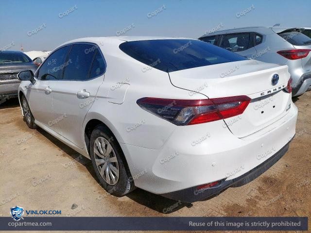 Auction photo