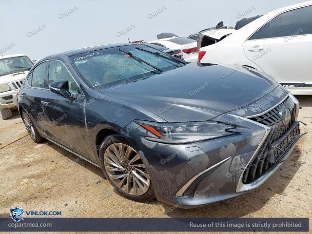 Auction photo