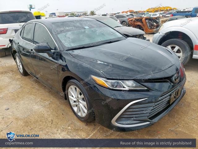 Auction photo