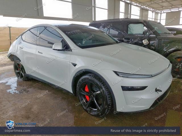2025 TESLA MODEL Y — Lot 50217986 auction photo