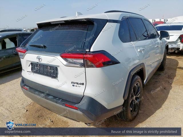 Auction photo