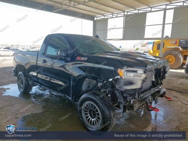 2023 CHEVROLET SILVARADO — Lot 50371076 auction photo
