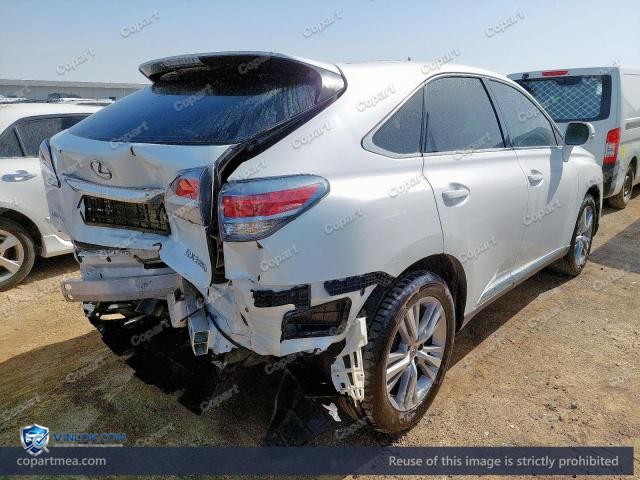 Auction photo